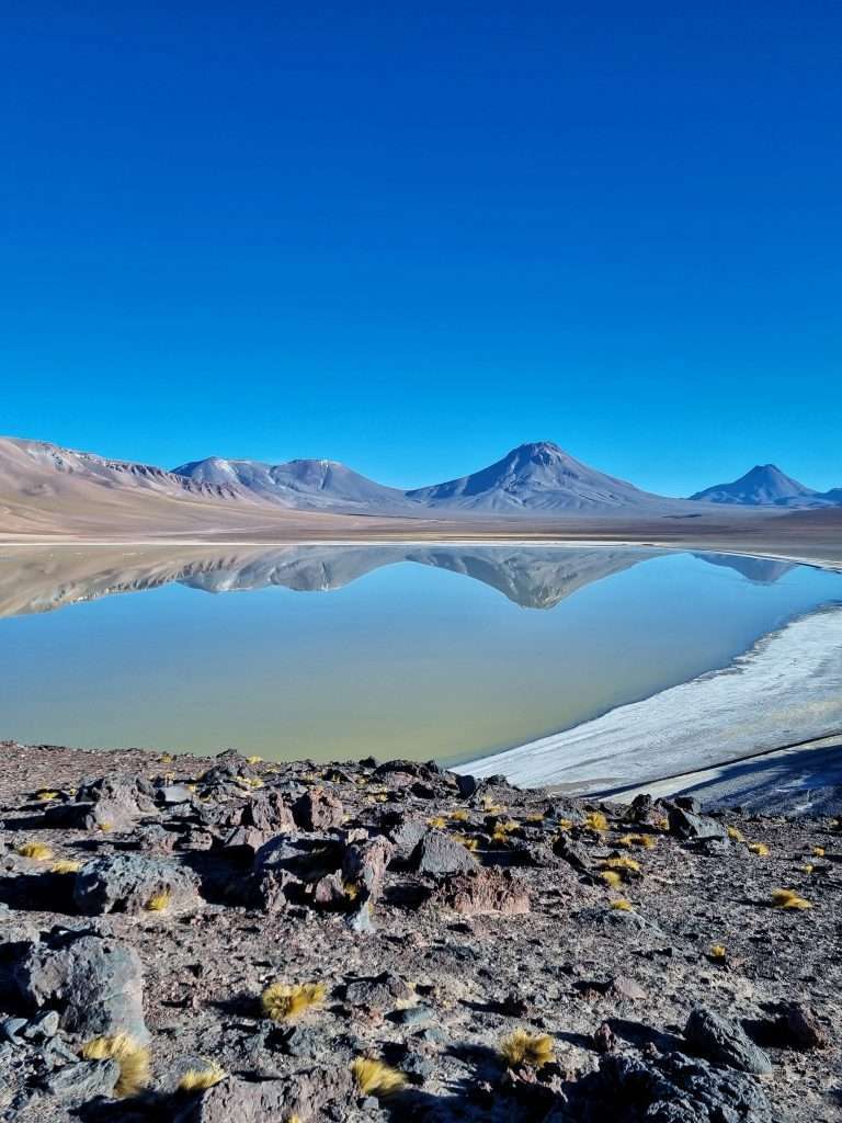 laguna lejia, volcanos lascar and aguas calientes reflected