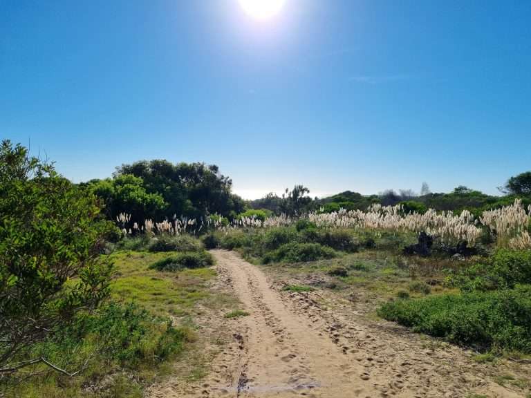 desert beach